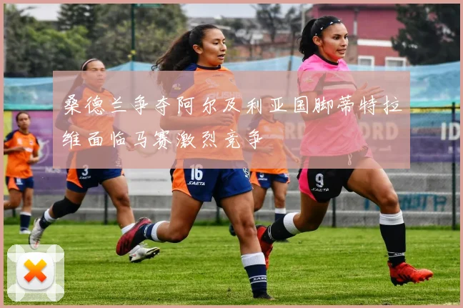 桑德兰争夺阿尔及利亚国脚蒂特拉维面临马赛激烈竞争